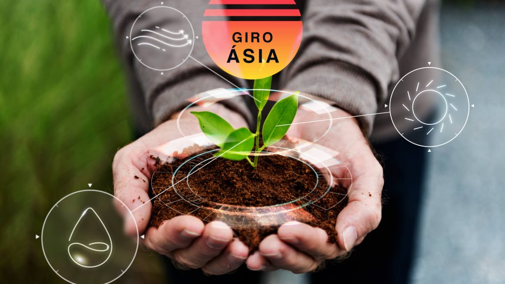 Taxonomia verde: sudeste asiático se esforça por um projeto regional